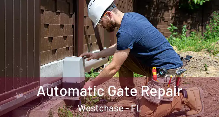  Automatic Gate Repair Westchase - FL