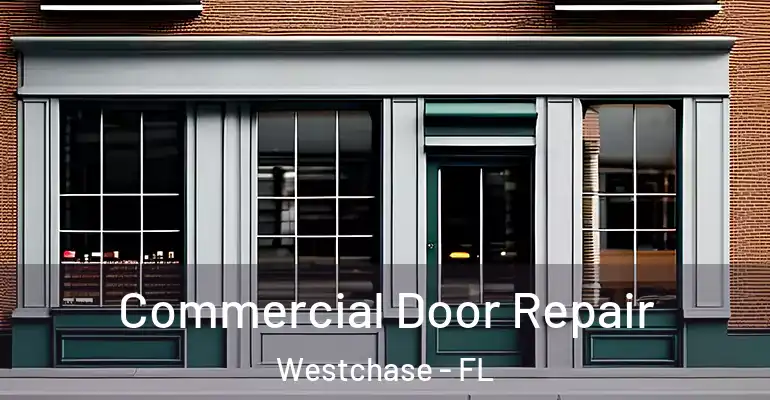  Commercial Door Repair Westchase - FL