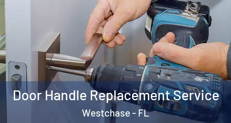  Door Handle Replacement Service Westchase - FL
