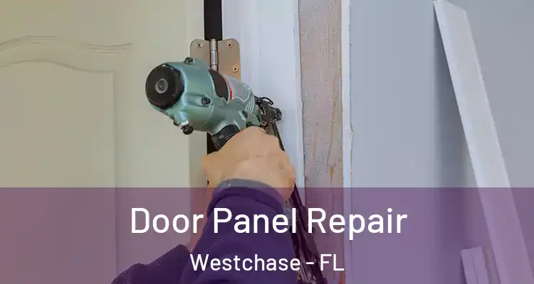  Door Panel Repair Westchase - FL