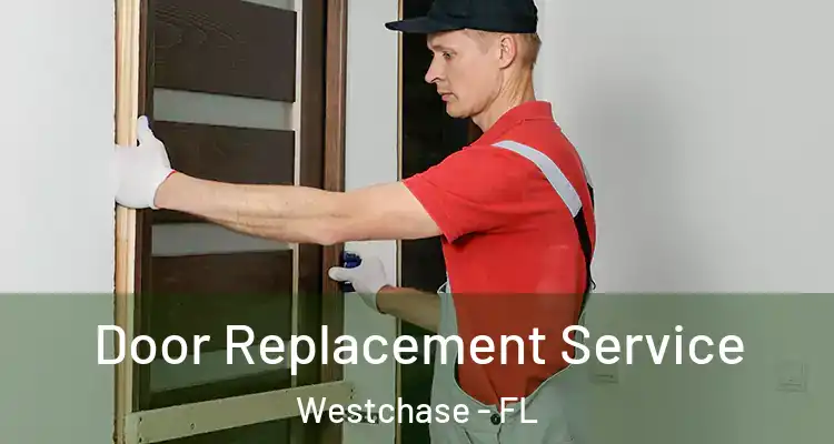  Door Replacement Service Westchase - FL