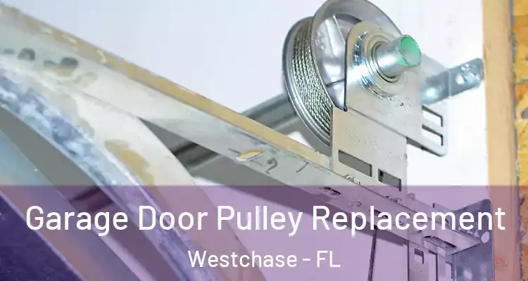  Garage Door Pulley Replacement Westchase - FL