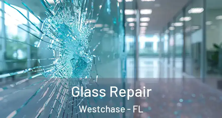  Glass Repair Westchase - FL