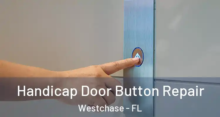  Handicap Door Button Repair Westchase - FL