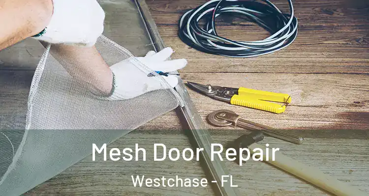  Mesh Door Repair Westchase - FL