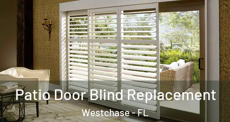  Patio Door Blind Replacement Westchase - FL