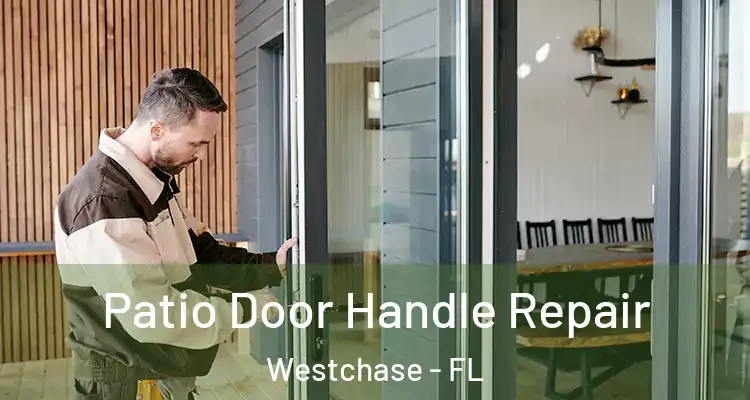 Patio Door Handle Repair Westchase - FL