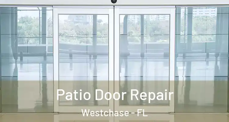  Patio Door Repair Westchase - FL