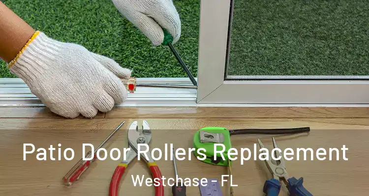  Patio Door Rollers Replacement Westchase - FL