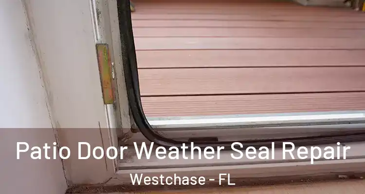  Patio Door Weather Seal Repair Westchase - FL
