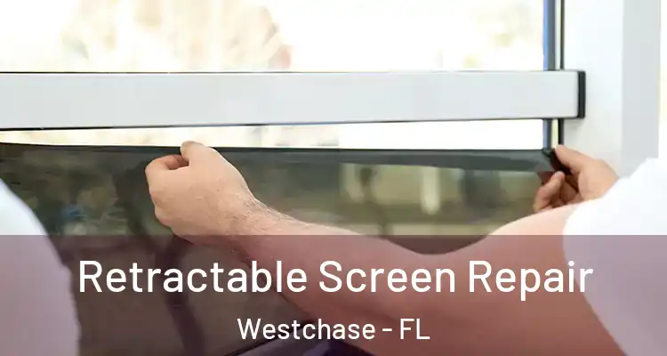  Retractable Screen Repair Westchase - FL