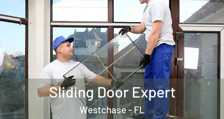  Sliding Door Expert Westchase - FL