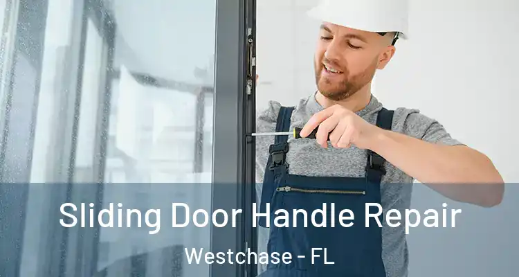  Sliding Door Handle Repair Westchase - FL
