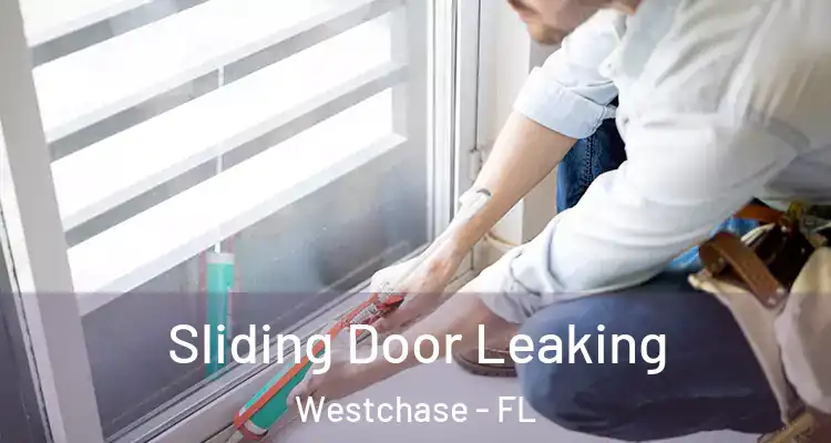  Sliding Door Leaking Westchase - FL