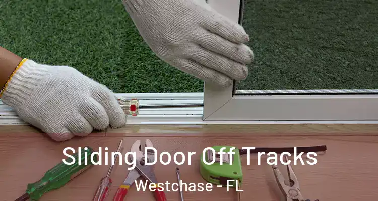  Sliding Door Off Tracks Westchase - FL