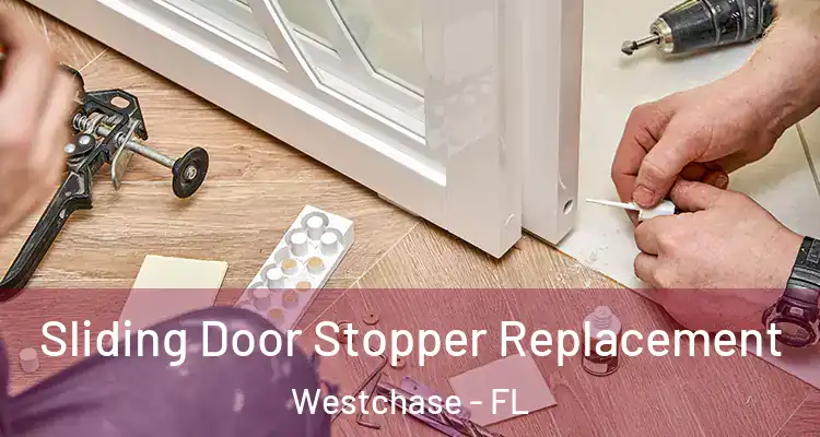  Sliding Door Stopper Replacement Westchase - FL