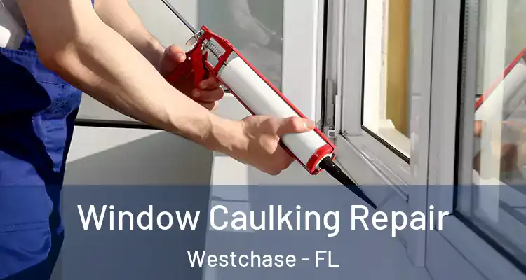  Window Caulking Repair Westchase - FL